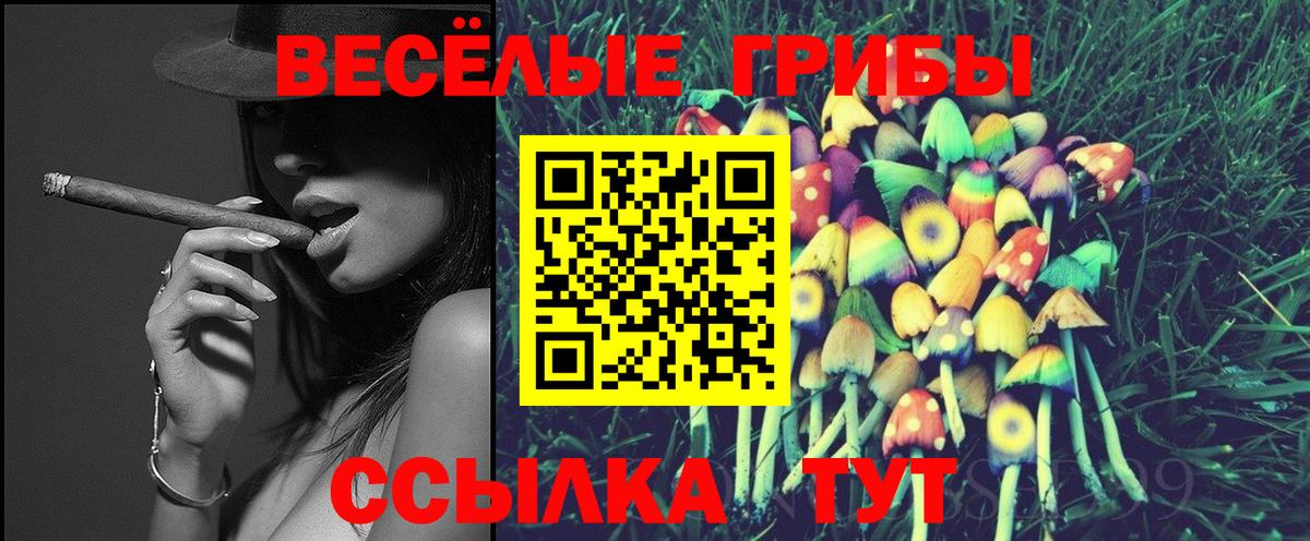Галлюциногенные грибы Psilocybine cubensis  Псилоцибиновые грибы MAGIC MUSHROOMS  Вход с VPN  Нальчик 