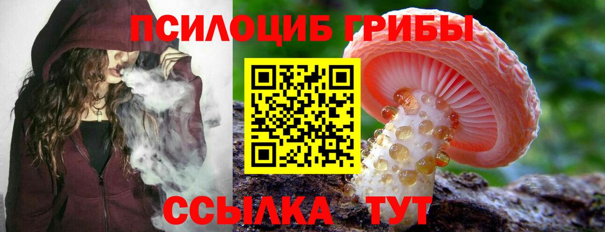 Псилоцибиновые грибы мухоморы Нальчик
